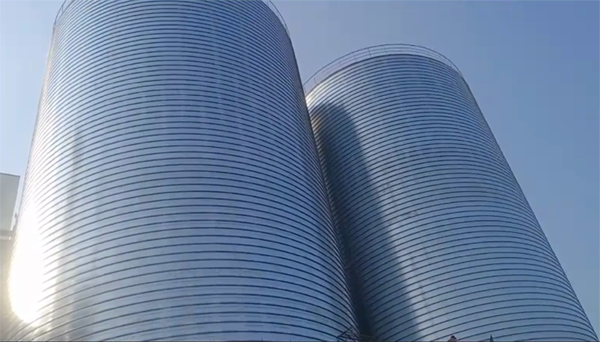 陆丰2座混凝土高架卷板仓